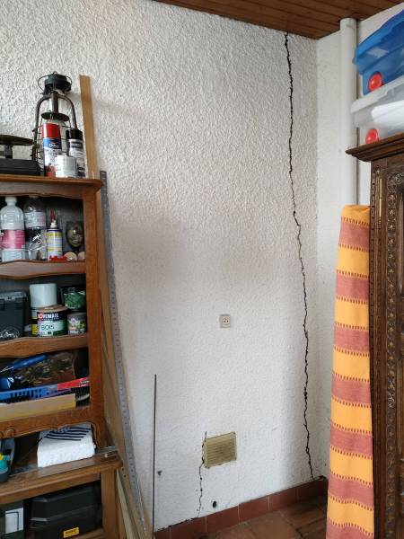 Cordonnet de termites à Libourne