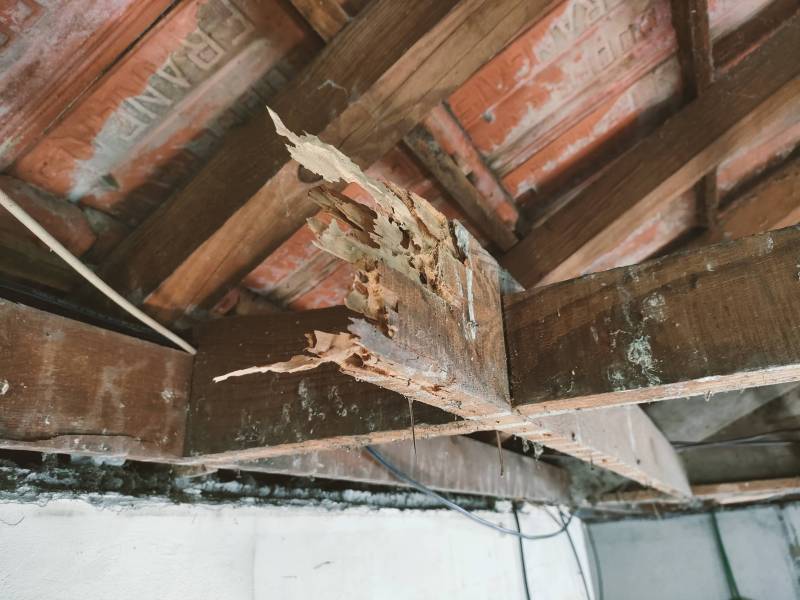 Traitement de Charpente à Sainte-Alvère en Dordogne