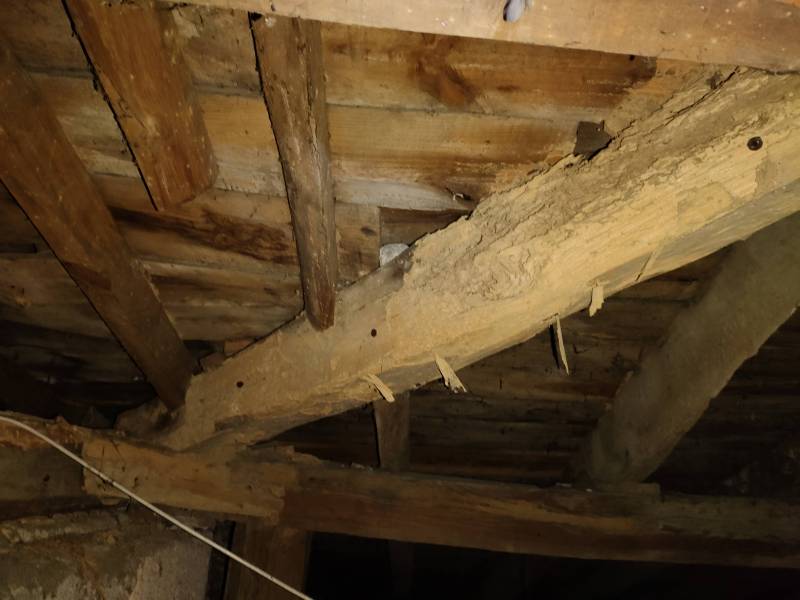 Traitement de charpente contre les capricornes à Mussidan