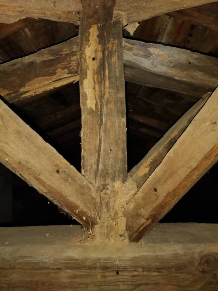 Traitement capricornes à Bergerac