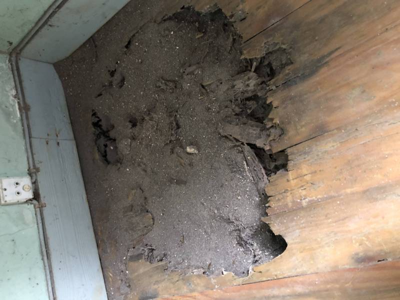 Plancher abîmé par les termites à Montpon-Ménestérol, en Dordogne