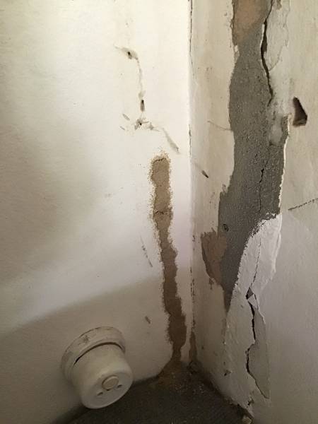 Attaque de termites à Saint Cyprien en Dordogne