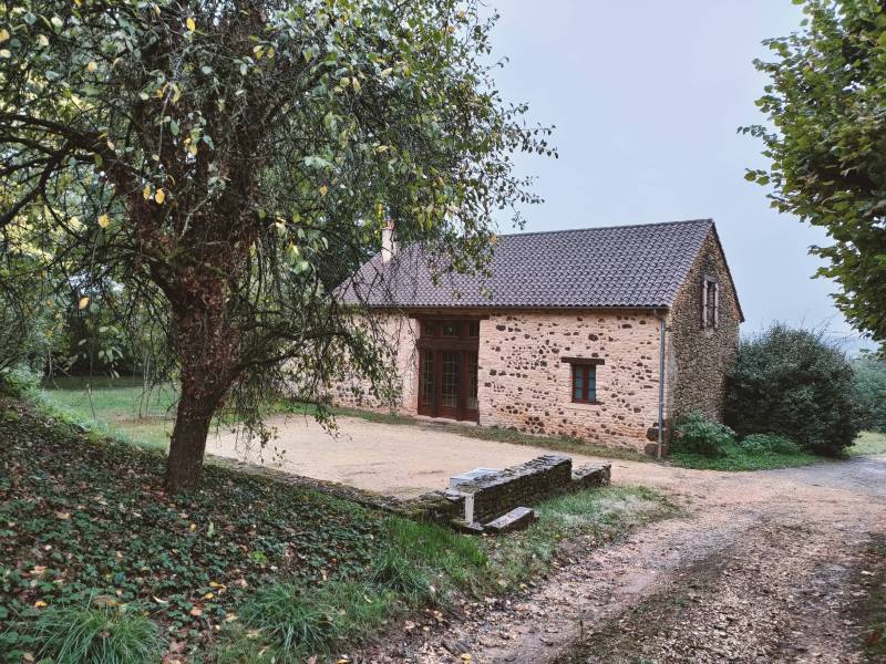 Des termites dans ma maison en Dordogne