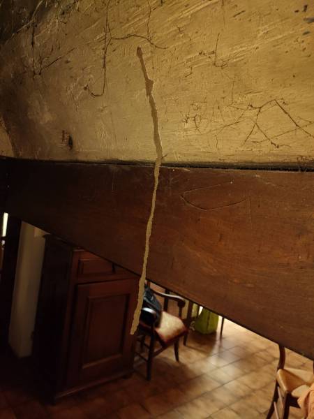 Détermitage à Sarlat en Dordogne