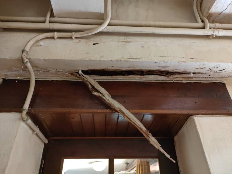 Solution de traitement des termites en Dordogne