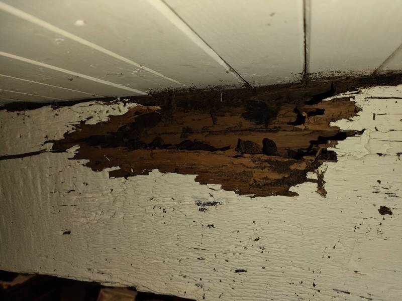  Détermitage préventif à Sarlat en Dordogne