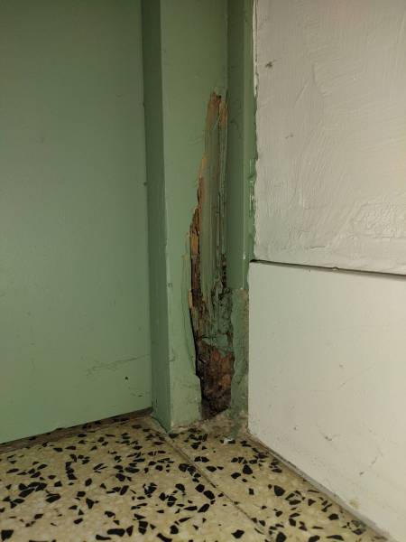 Attaque termites à Bergerac en Dordogne