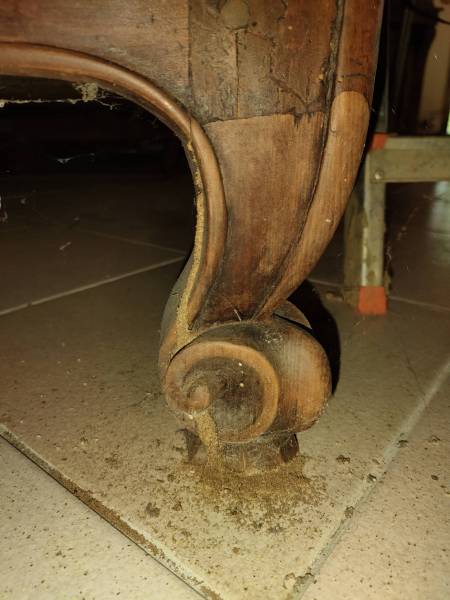 Termites dans une maison à Sarlat