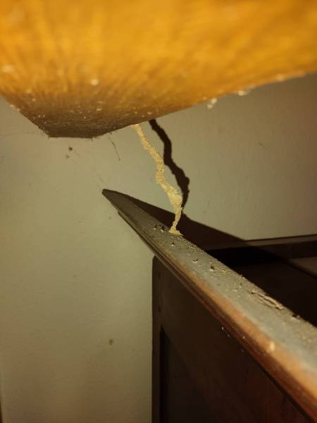 Termites dans une maison à Sarlat