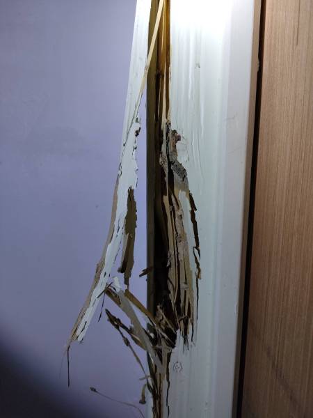 Allo-Termite tue les termites à Bergerac en Dordogne