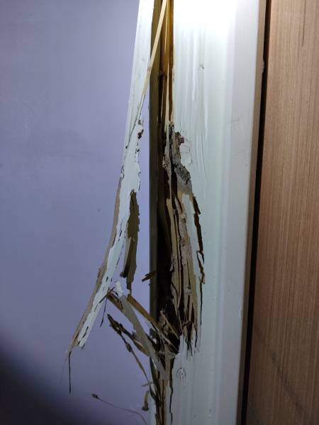 devis gratuit et personnalisé pour traitement anti termites à Bergerac (24)