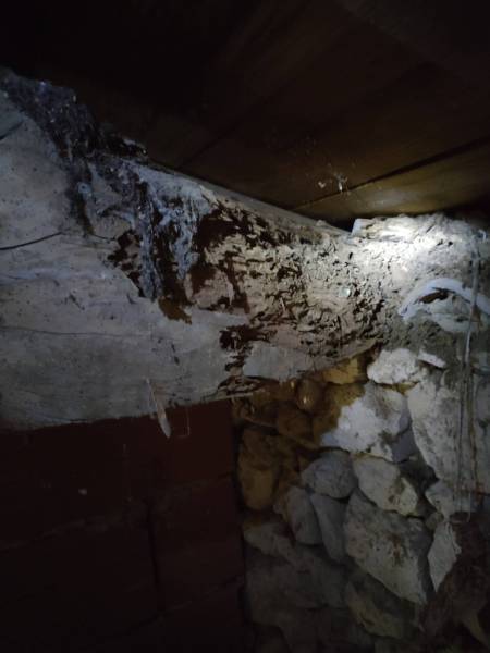 Les termites attaquent une charpente à Sarlat