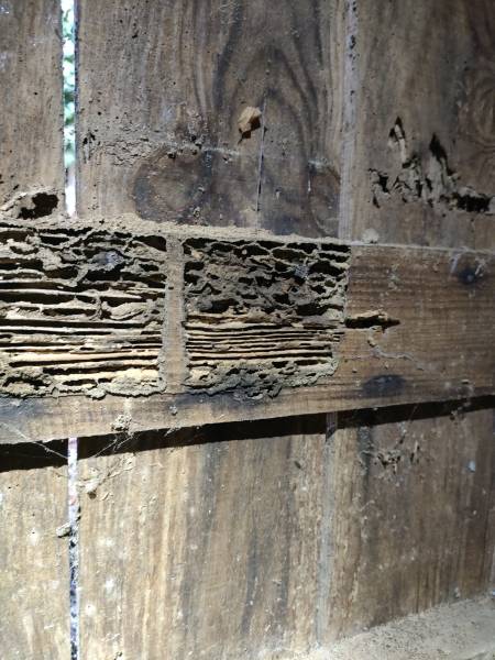 Devis gratuit personnalisé pour protection efficace contre les termites autour de Vergt en Dordogne