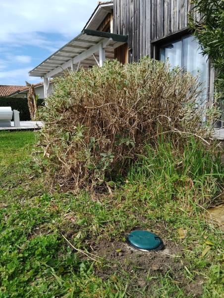 A qui faire appel pour protéger efficacement ma maison de Bergerac contre les termites?