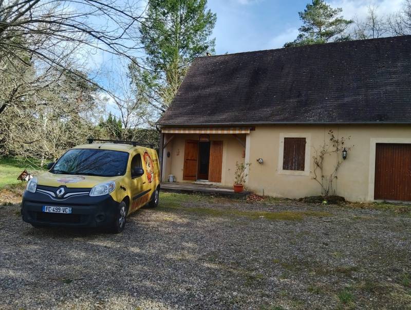 spécialiste élimination termites Dordogne