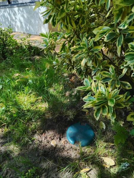 devis gratuit pour pose de pièges anti termites à Marmande (47)