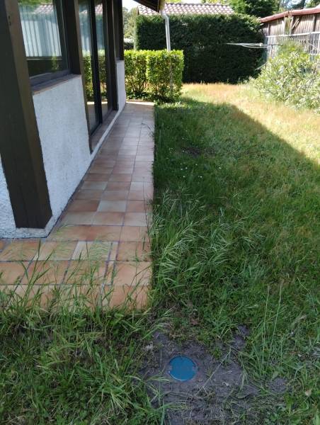 Pourquoi passer par un professionnel pour traiter une maison de Sarlat contre les termites?