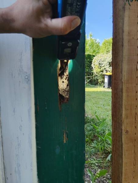 Trouver un professionnel sérieux et réactif pour traitement anti termites pas cher à Langon, Gironde