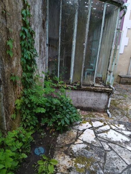 Pourquoi le traitement termites par pièges appâts connectés est la solution idéale pour protéger durablement les châteaux à Bergerac en Dordogne ?