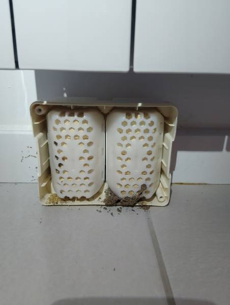 quel traitement anti termites choisir pour une maison à Sarlat?