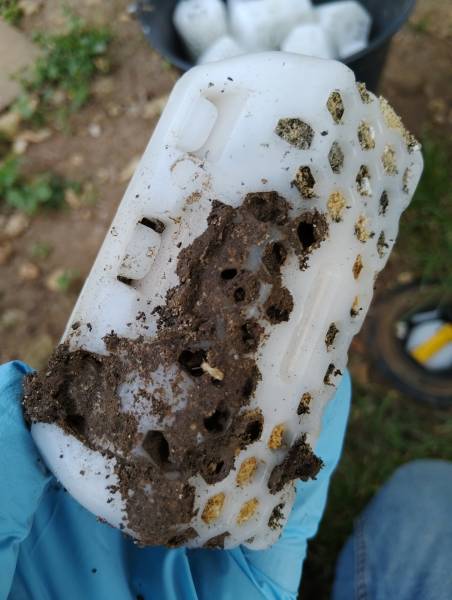 Quel professionnel pour protéger une maison en pierre contre les termites à côté de Bergerac?