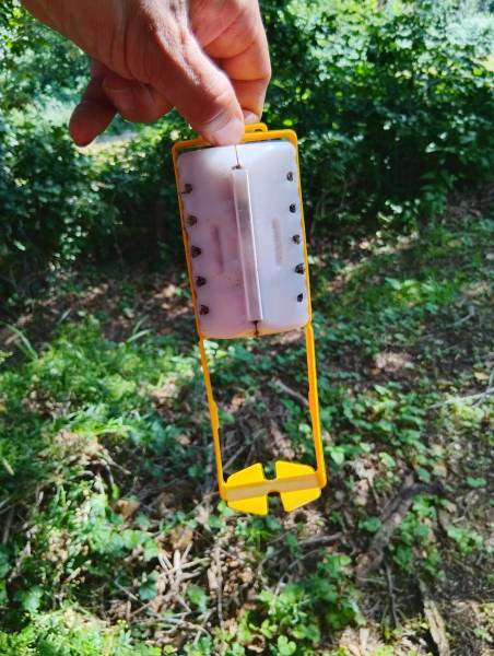 Faire appel à unn professionnel certifié pour la pose de pièges anti termites en Dordogne