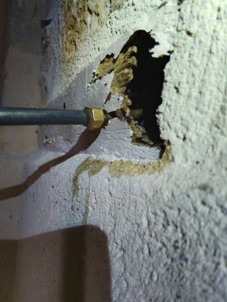Meilleur professionnel pour traitement anti termites à Langon