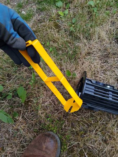 traitements préventifs et curatifs contre les termites en Dordogne par un professionnel sérieux et certifié