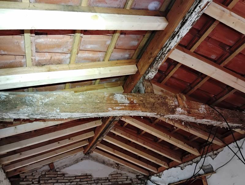 devis gratuit pour traitement efficace anti termites autour de Périgueux en Dordogne 