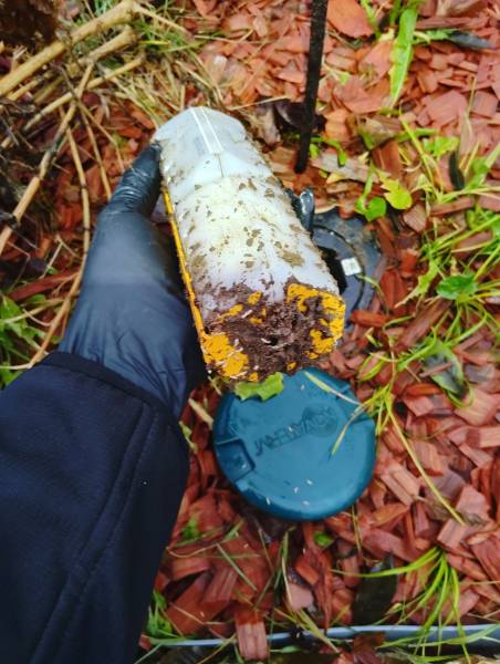 Installer des pièges anti-termites à l’extérieur permet-il vraiment d’éliminer les termites déjà présents dans la maison en Dordogne ?