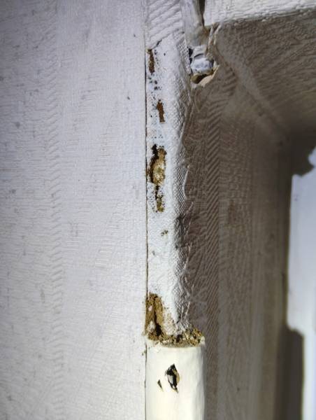Inteventions rapides et garanties pour traitement efficace contre les termites à côté de Périgueux en Dordogne