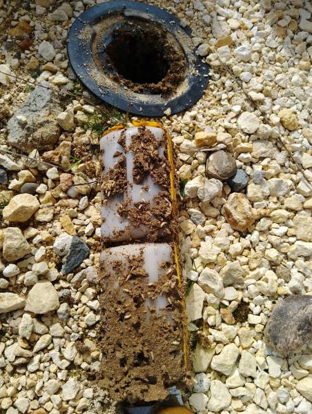 Professionnel du traitement anti termites en Dordogne