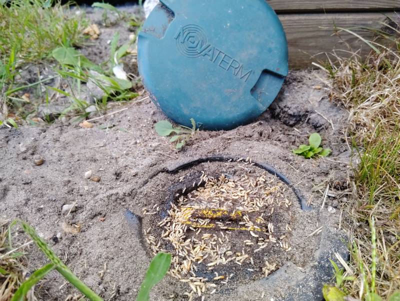 Trouver un spécialiste du traitement rapide et efficace contre les termites en Dordogne