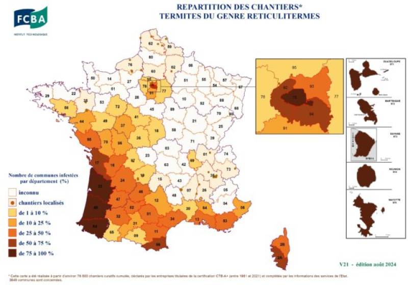 Quels solutions contre une infestation de termites à Sarlat, en Dordogne? 
