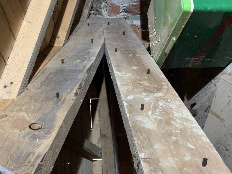 traitement anti termites efficace autour de Périgueux, en Dordogne